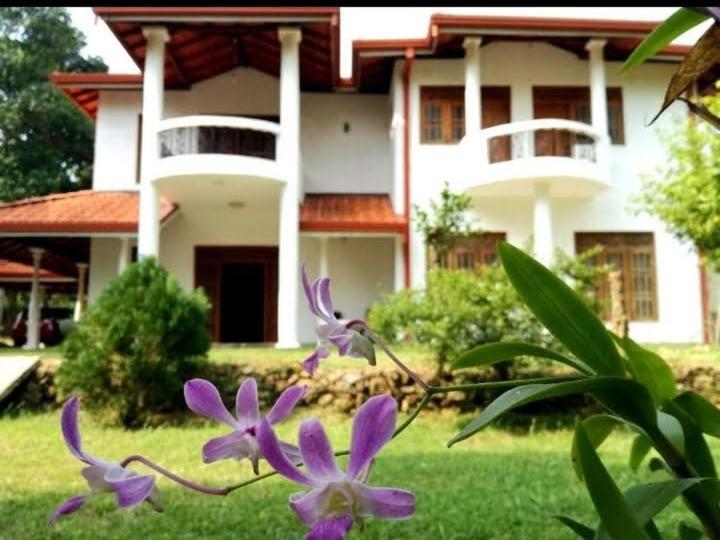 Blue Point Rest Hotel Tangalle Eksteriør billede