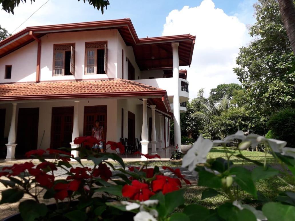 Blue Point Rest Hotel Tangalle Eksteriør billede