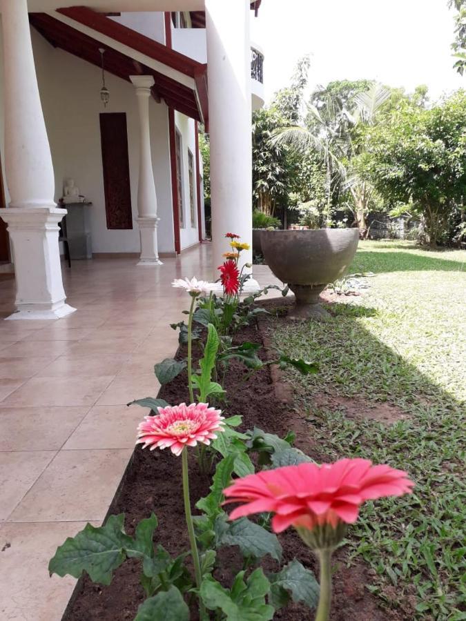 Blue Point Rest Hotel Tangalle Eksteriør billede